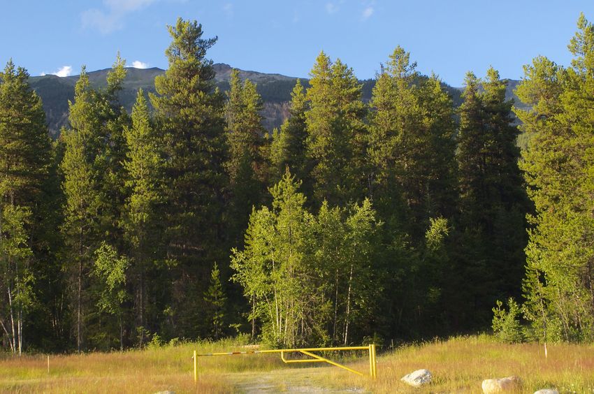 Looking back up towards the confluence point from the highway