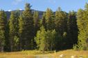 #7: Looking back up towards the confluence point from the highway