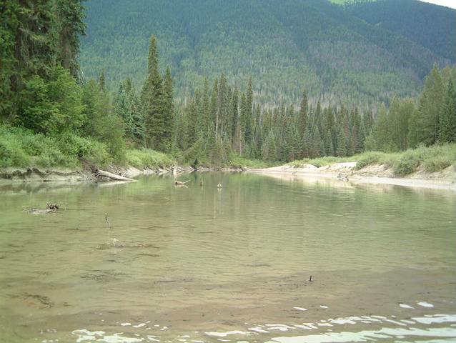 Creek looking NE-confluence is to the right.