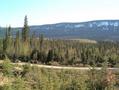 #3: Looking South towards confluence (Top Left)