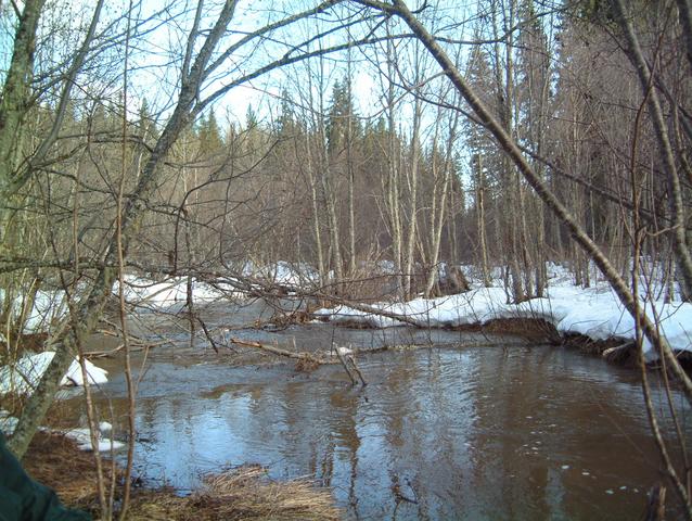 Creek on the way to confluence -We went around it!