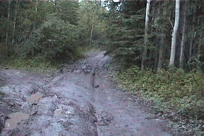 The rough, muddy road
