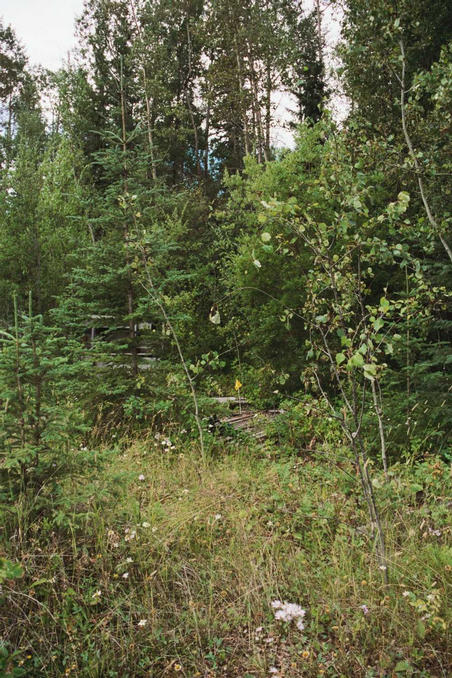 South - the Flag in the pile of old wood is where the GPS picture was taken