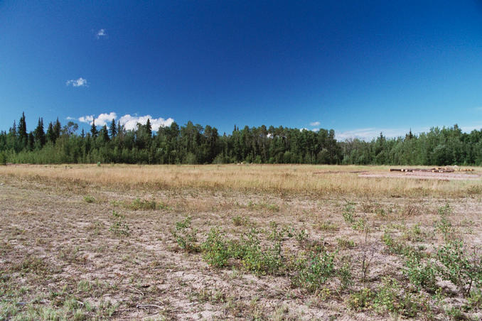 View from the end of Speedway Road, across the clearing to the confluence