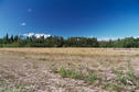 #6: View from the end of Speedway Road, across the clearing to the confluence