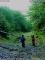 #5: Gully is about 100 metres (300 feet) vertical and will be tough if wet.  Heavy vegetation at the top (fir, hemlock, spruce)