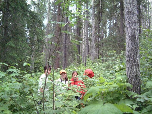 The Crew enjoying a successful find.