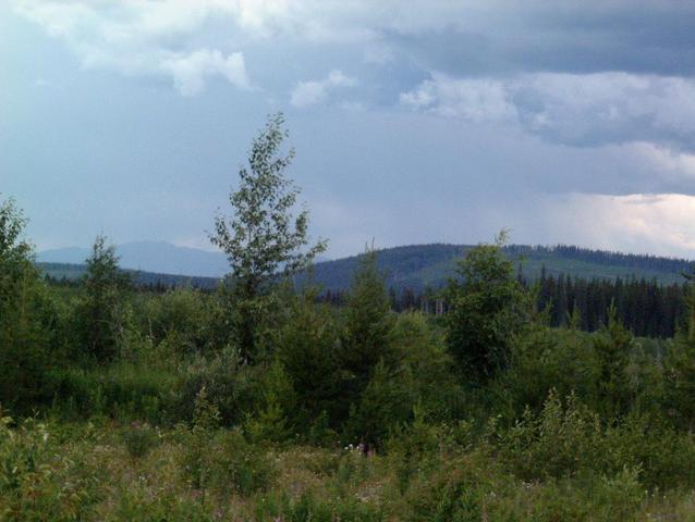 View from the road looking East.