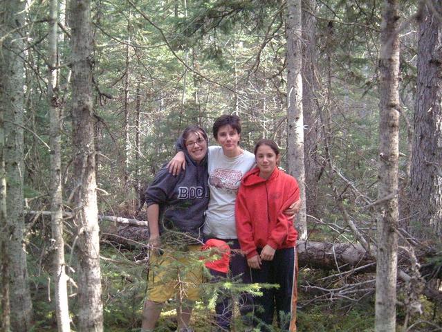 The crew enjoying an easy walk through the bush.