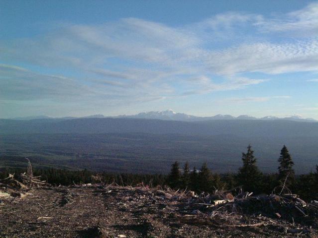 Looking southwest from the top of the cut block