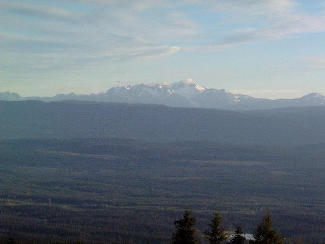 Facing North from the cut block