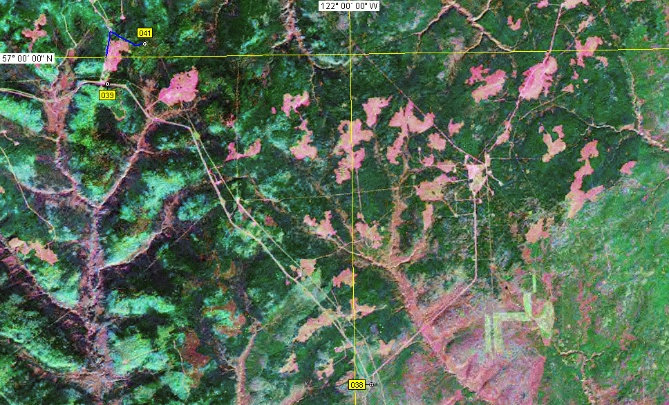 NASA Landsat satellite image (early 1990s)
