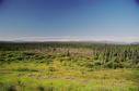 #2: View from Alaska Highway, north of Buckinghorse River