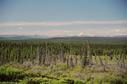 #3: View from Alaska Highway, north of Buckinghorse River