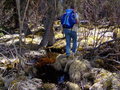 #8: swampy part 1km from the confluence point