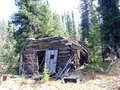 #9: ancient decayed cabin 2km from confluence point