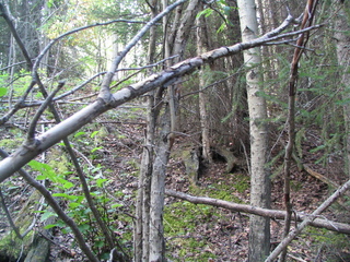 #1: Looking east from the confluence