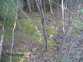 #4: Overlooking the confluence site.