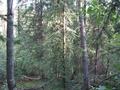 #4: View East