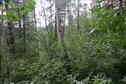 #5: View West