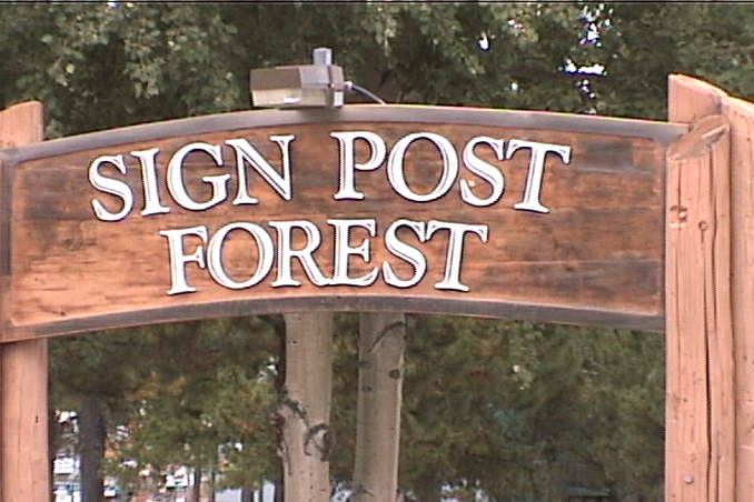 Sign Post Forest