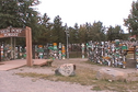 #3: part of the Sign Post Forest