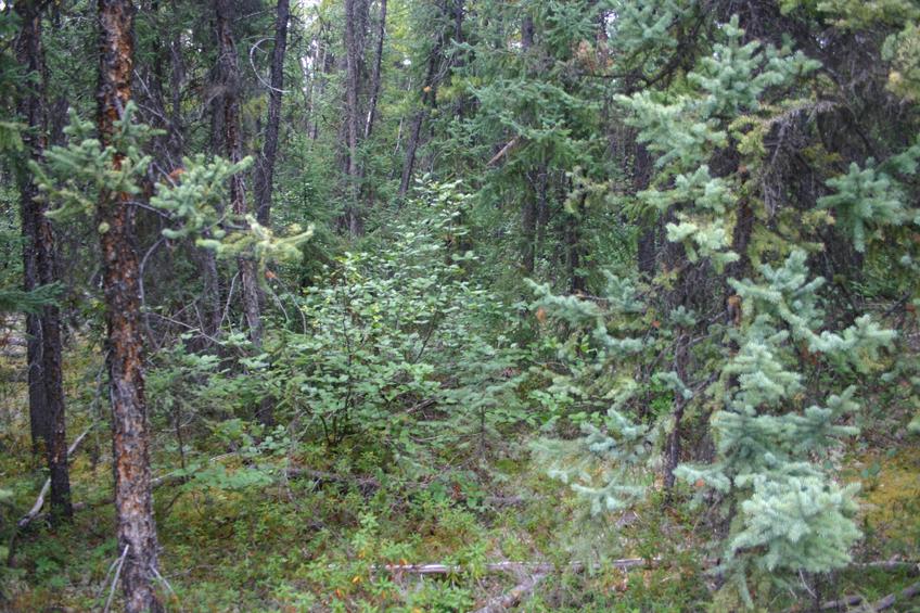 Point of return, around 800m from the confluence point