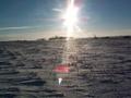 #5: Sun reflecting on stubble field near confluence