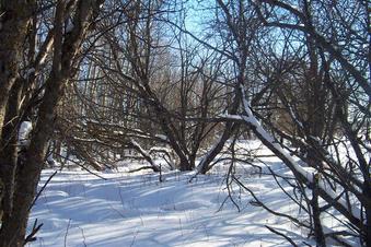 #1: Looking East