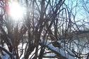 #3: Looking Southwest