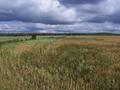 #6: Overview from around 730 m from the confluence.