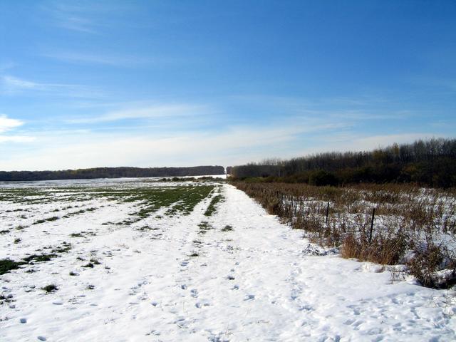 View west down the border