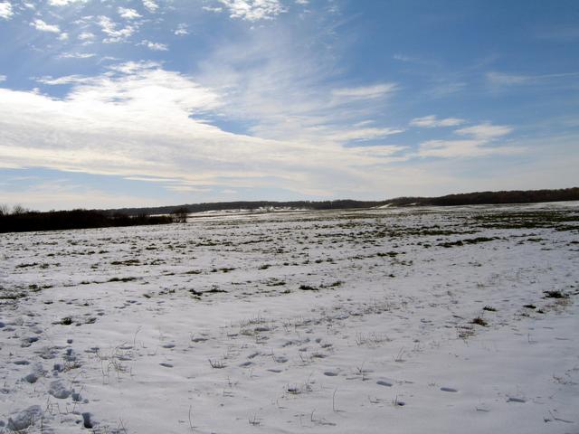 View southwest across the field and towards where I parked