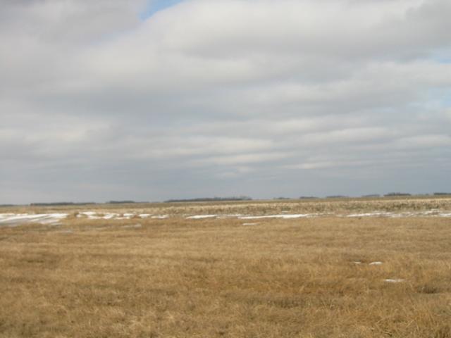 From confluence looking North