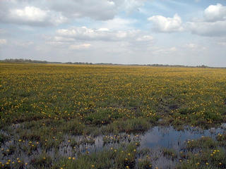 #1: snapshot taken at confluence facing north