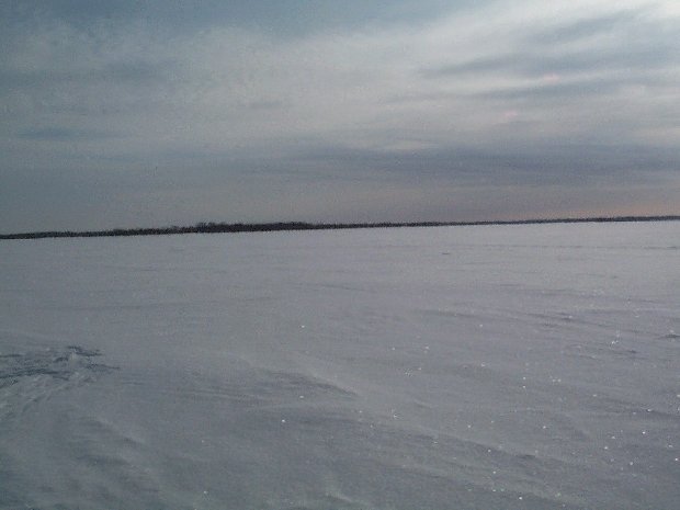 View to the south