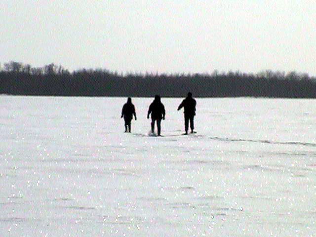 Snowshoeing to the point