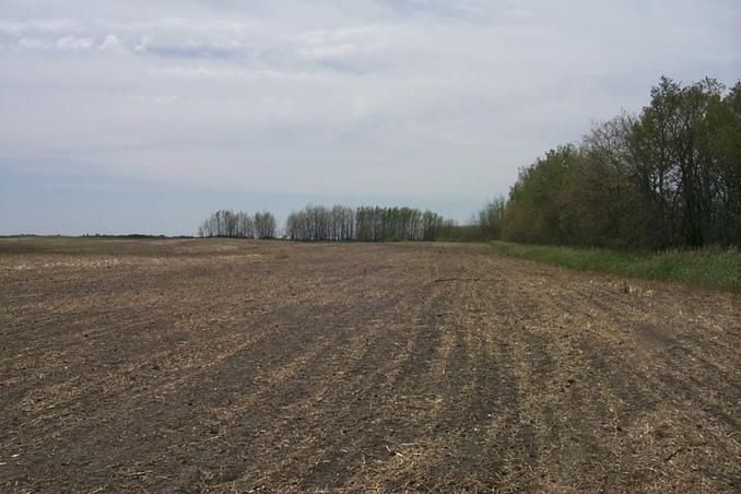 Looking south from the confluence.