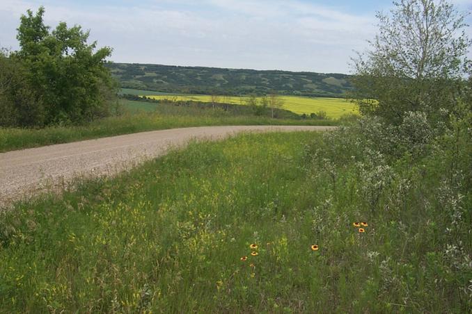 The Assiniboine River Valley.  The valley is about 7 km east of the CP.