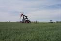 #9: Pump jacks in a grain field 3.3 km from the confluence.
