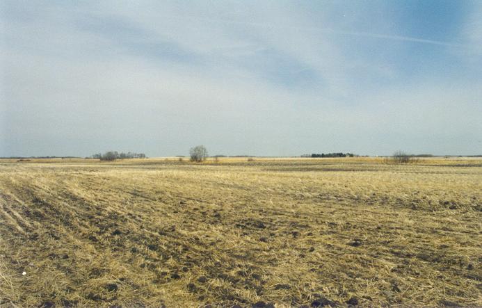 Facing North from the confluence