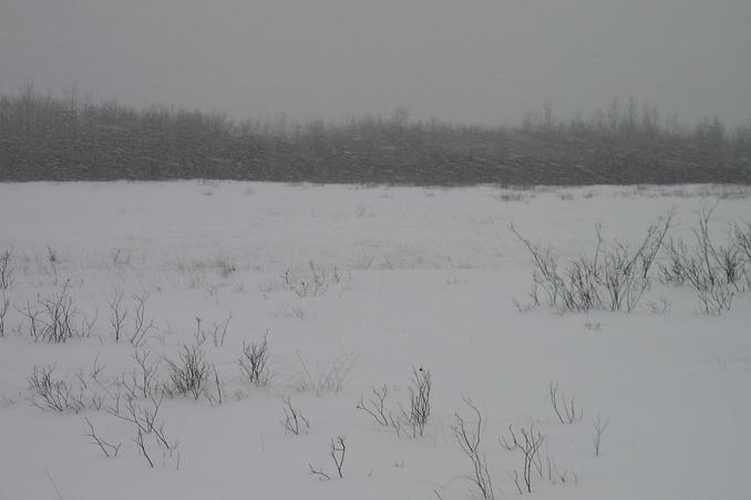 South view and snow falling