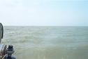 #5: Looking South