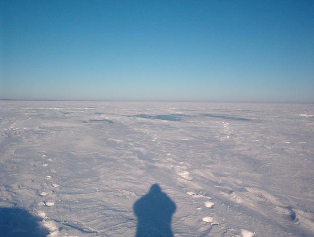 Facing North with my long shadow