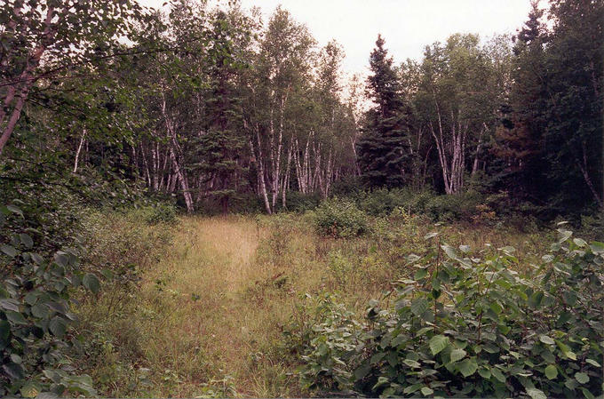 The old north-south road near the confluence, looking south