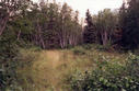 #3: The old north-south road near the confluence, looking south