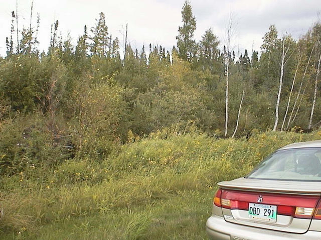 Off into the bushes in the general direction of confluence