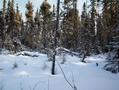 #3: View facing East