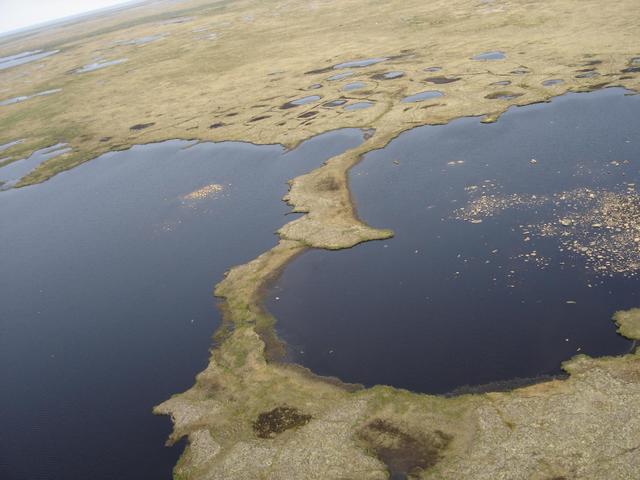 View of the confluence situated in between the lakes from approximately 100 feet in the air.