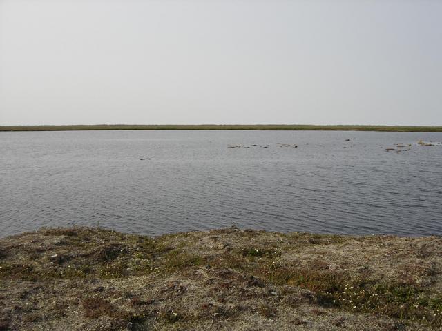 From the confluence looking North.